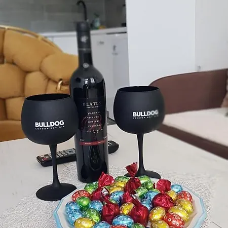 Apartment 555 Travnik