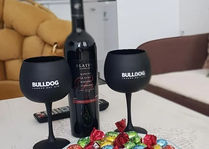 Apartment 555 Travnik